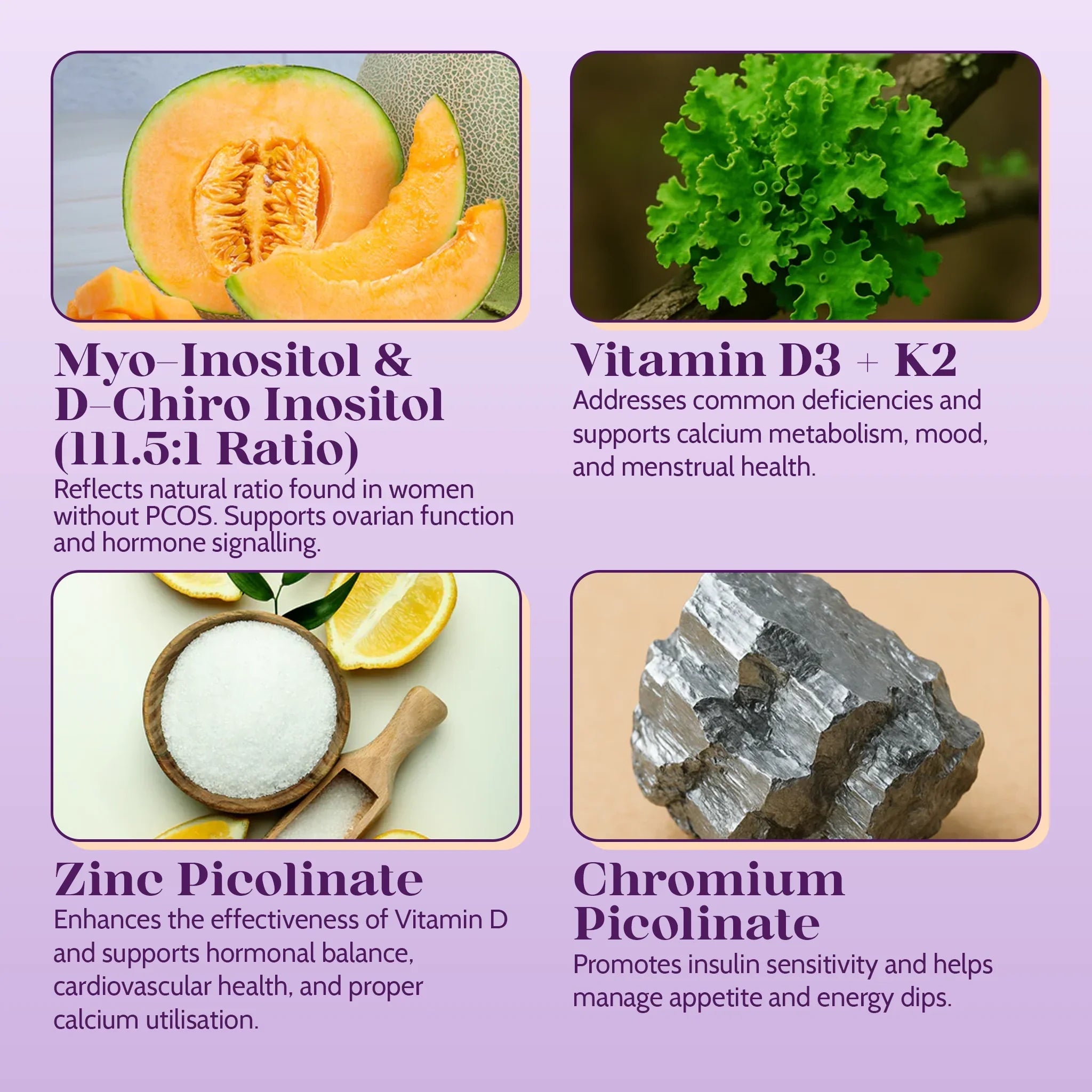 Inositol Infusion Plus - Hormonal Balance & Cycle Support - PolyBiotics