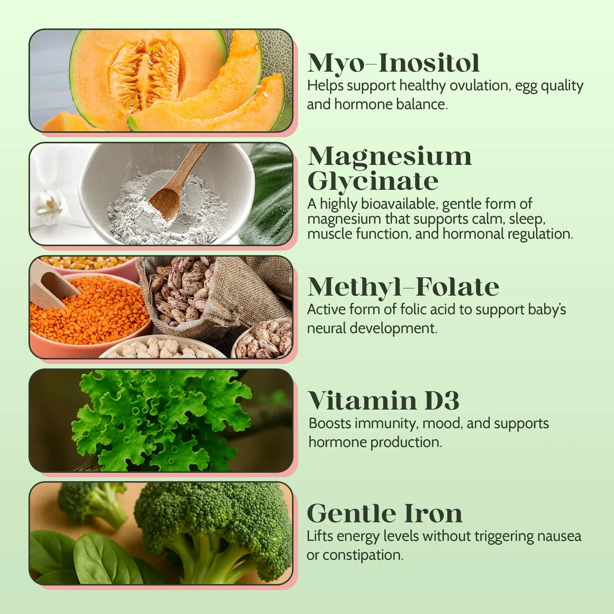 Daily Motherhood Support Duo - PolyBiotics