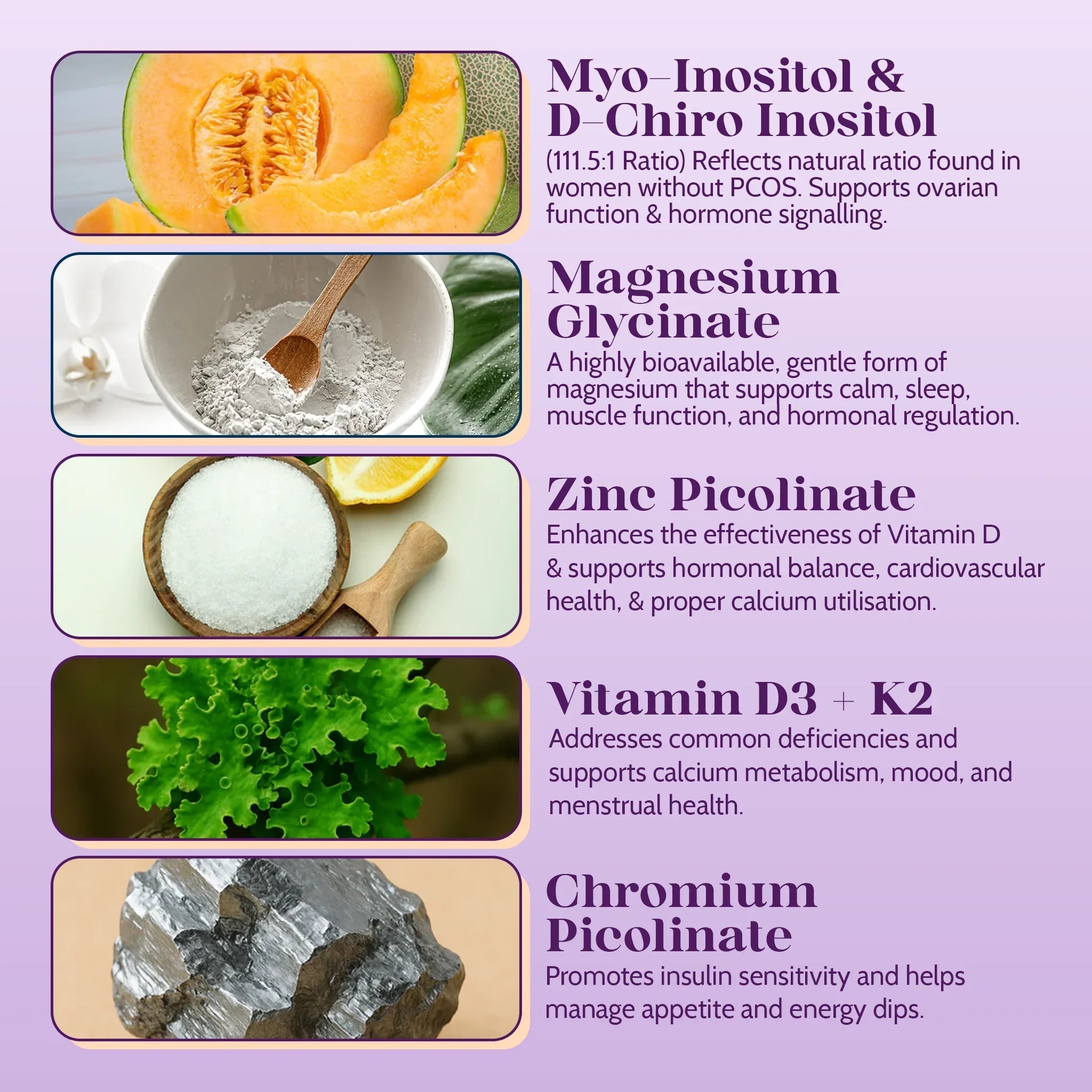 Daily PCOS Essentials Kit - PolyBiotics