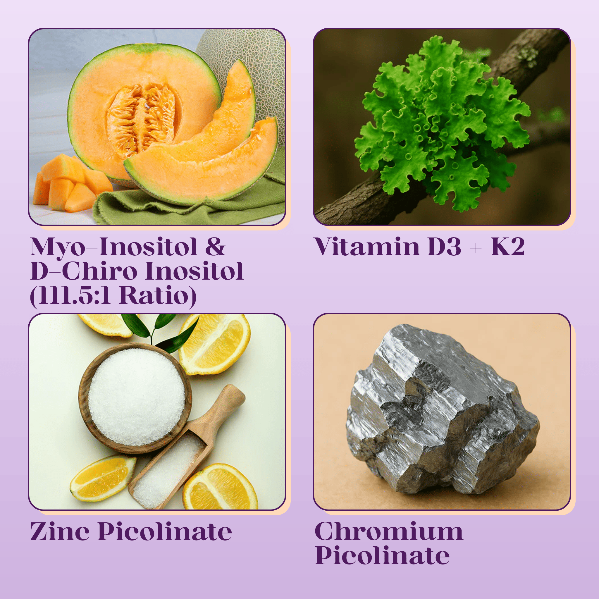 Inositol Infusion Plus - Hormonal Balance & Fertility Support - PolyBiotics